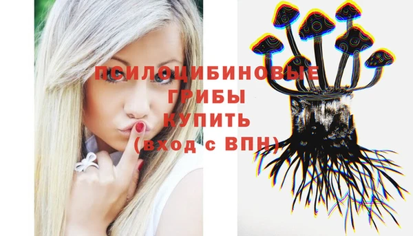 винт Аркадак