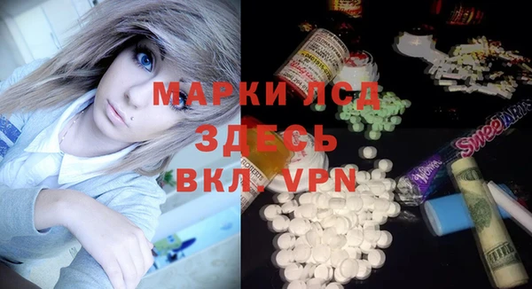 шишки Арсеньев