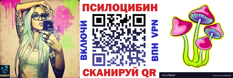 Псилоцибиновые грибы MAGIC MUSHROOMS  магазин продажи наркотиков  Кологрив 